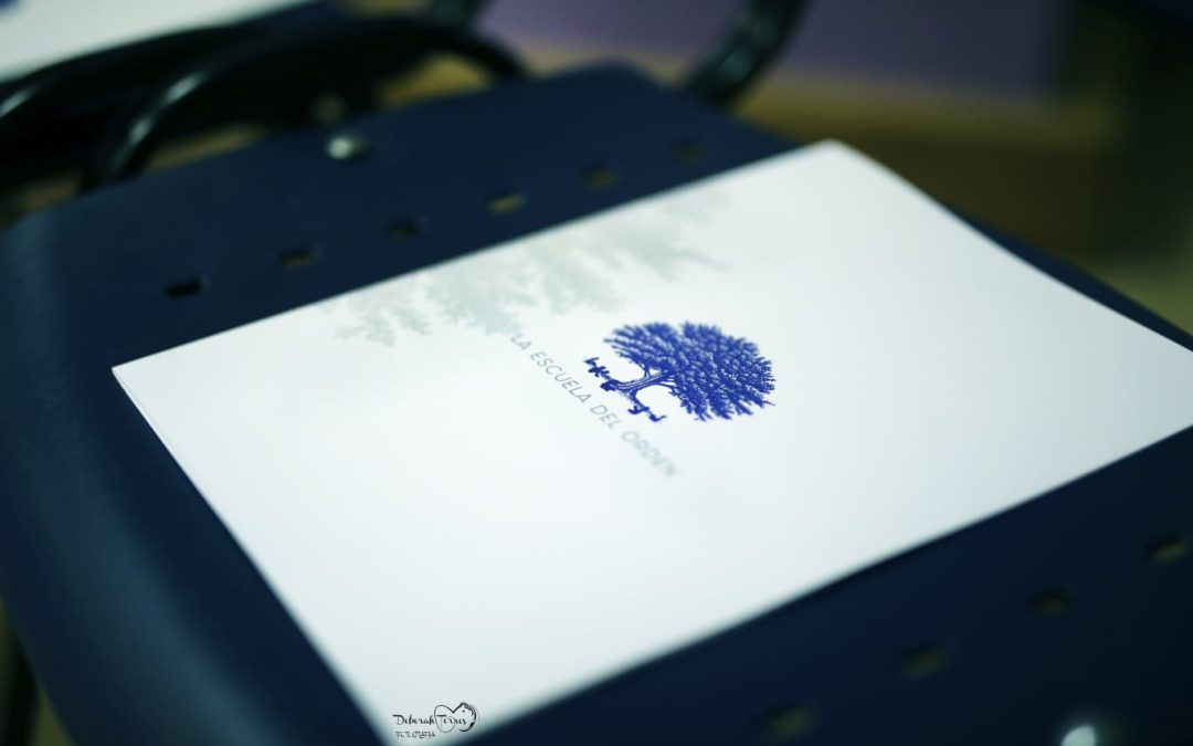 ¿Qué necesitas para convertirte en un Organizador Profesional?